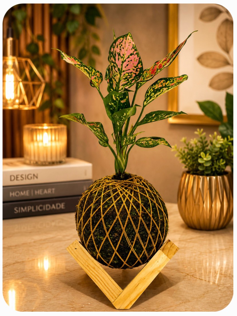 Kokedama de Aglaonema em ambiente interno
